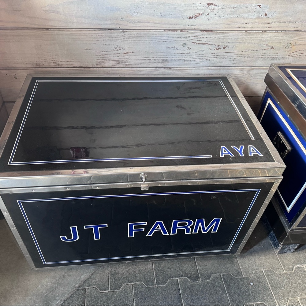 Black and Silver Storage Trunk